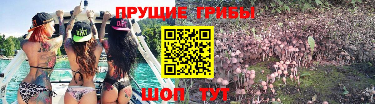 Галлюциногенные грибы ЛСД Туймазы