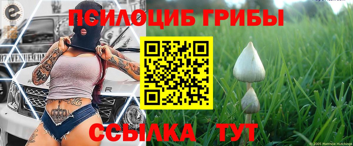 Псилоцибиновые грибы GOLDEN TEACHER  Вход с VPN  Галлюциногенные грибы Psilocybe  Туймазы 
